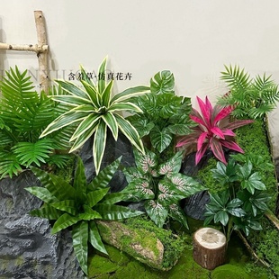 饰绿植 叶材室内景观设计装 新款 仿真植物手感千年木鸟巢蕨彩铁多款