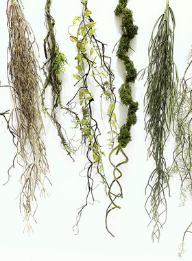 仿真苔藓树藤枯藤森系造景装饰摆放假藤条青苔藤垂挂陈列树枝花艺
