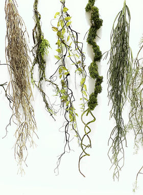 树藤仿真简约绿色垂挂缠绕苔藓