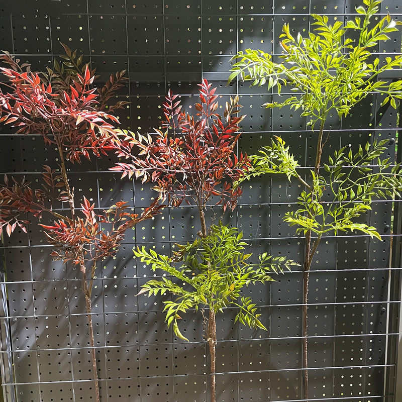高仿绿植南天竹大型景观禅意插花造景长枝植物室内花艺摆放装饰