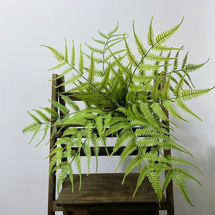 新款 饰植物景观造景摆放大把束蕨类绿植 高仿真凤尾蕨叶热带雨林装