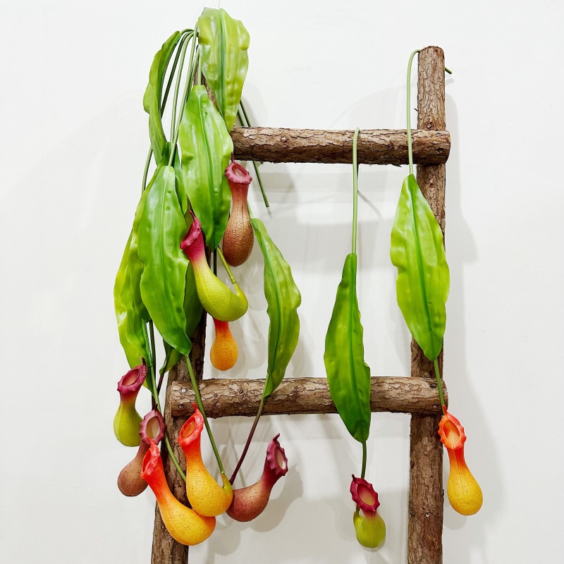 仿真猪笼草捕充草悬挂花艺
