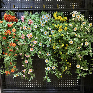 仿真太阳花花藤森系小雏菊藤蔓假花挂壁绿植管道吊顶垂挂装饰花艺