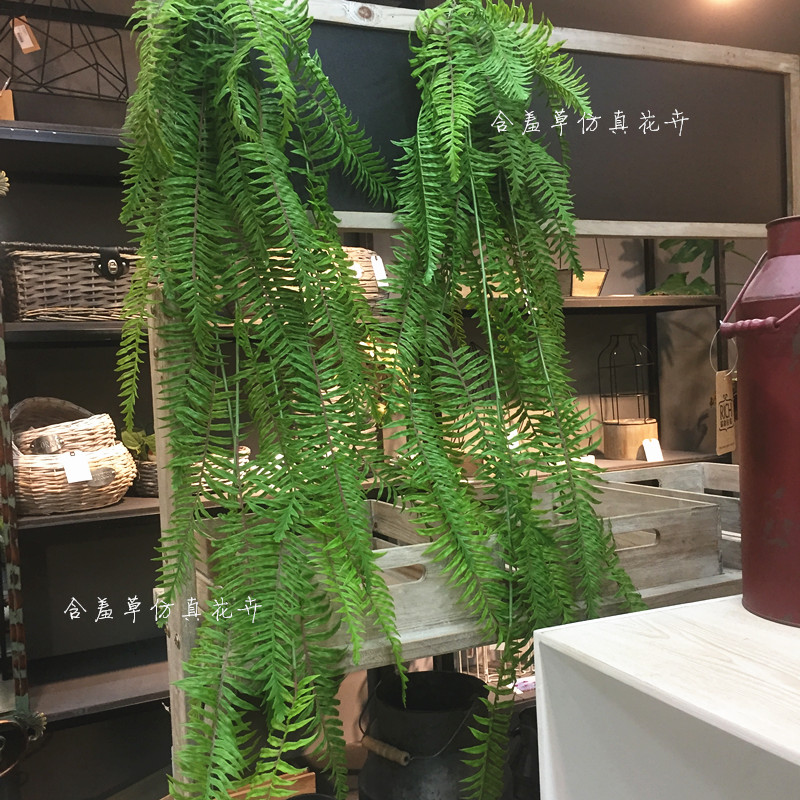 高仿软胶帝王波草植物墙餐厅垂挂