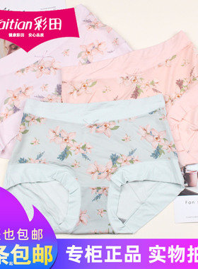 三条包邮彩田冰丝莫代尔棉内裤32706女士高腰透气加大码短裤32708