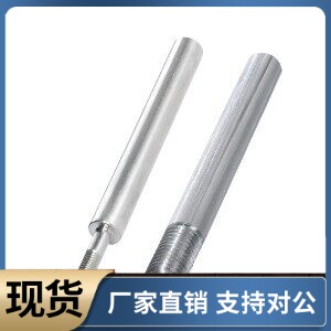 导向轴SED SEE01 02 31 32-D4 D5 D6 D8 D10 D12 D13 D15 D16-L50