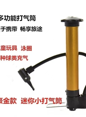 无胶自行车高压便携式迷你打气筒电瓶电动车山地车摩托车篮球气筒