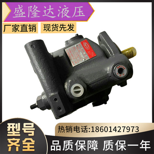 供应日本TOYOOKI丰兴HPP-VB2V-F8A3工程机械注塑机变量柱塞泵包邮