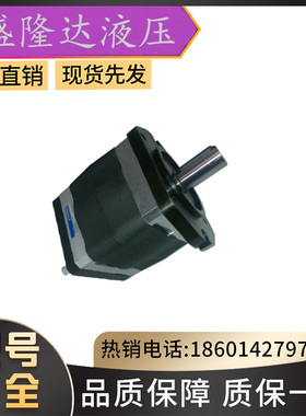 原装进口德国艾可勒ECKERLE齿轮泵EIPS2-006RA04-10-S111齿轮油泵