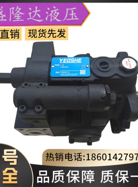 台湾YEOSHE油升柱塞泵AR16-FR01-C/AR16-F-R-01-C/AR16-F-R-01-B