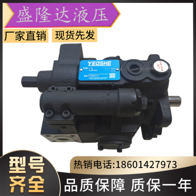 台湾YEOSHE油升柱塞泵AR16-FR01-C/AR16-F-R-01-C/AR16-F-R-01-B