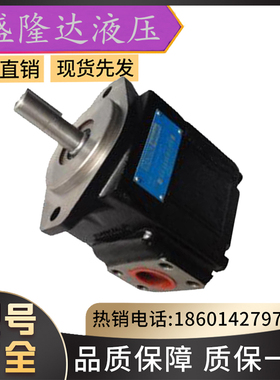 派克DENISON丹尼逊三联泵/T6DCCM-B45-B22-B06-2R01-B101塑机油泵