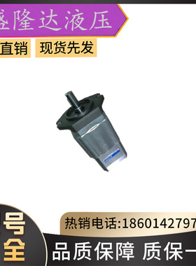 德国艾可勒/艾可乐齿轮泵ECKERLE/EIPS2-025RA04-12S11注塑机油泵