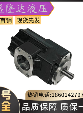 丹尼逊DENISON柱塞泵PV15-1R5D-C00;PV15-1R5D-C02;PV15-2L1D-C00