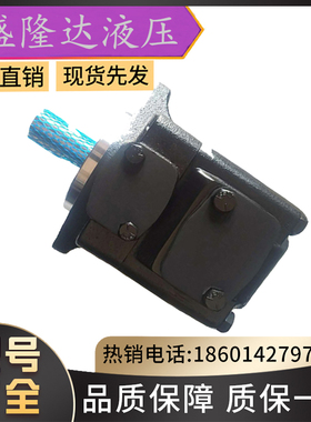 DENISON丹尼逊叶片泵/T7EDLP-072-B38-1R13-A100电动液压油泵包邮