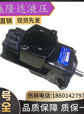 DENISON油泵/T6CCW-022-008-2R00-C100, T6CCM-B25-B05-1R00-C100