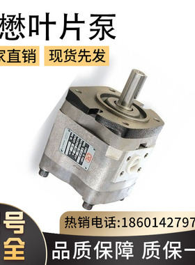 全新台湾全懋机油泵CML高液压/VCM-1M-8-FR/压铸机配件叶片泵包邮