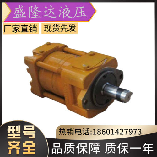 日本SUMITOMO住友QT51-80-BP-Z工程机械电机伺服专用配套齿轮油泵