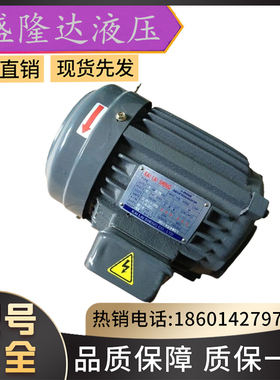 台湾S.Y群策1HP/0.75KW/C01-43BO液压油泵PV2R系列专用内轴电动机