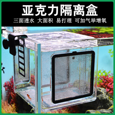 碧水风和亚克力隔离盒
