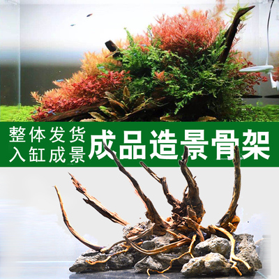 吉景佳水族超白鱼缸青龙石造景