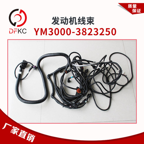 天然气发动机线束J5600 YM3000-3823250SF1线束总成卡车客车