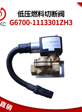 低压燃料切断阀G6700-1113301ZH3适用玉柴然气发动机配件客车公交