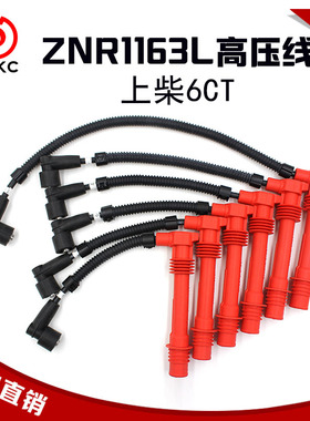 湘火炬ZNR1163L高压导线天然气发动机点火线分缸线高压线上柴6CT