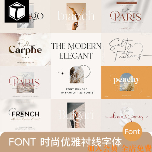 轻奢英文字体Logo设计素材包