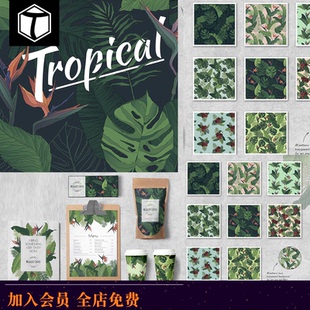 熱帶夏季 印花PS設計 龜背竹葉子圖案patterns無縫拼接背景包裝