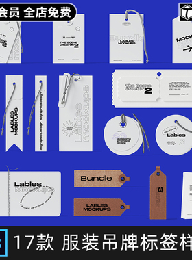 潮流服装吊牌标签品牌vi标志logo提案效果展示PSD样机设计素材PS