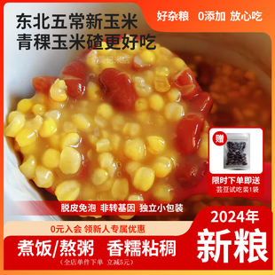 25年新五常青稞玉米碴粗大碴子玉米糁中粒小粒免泡东北黑龙江熬粥