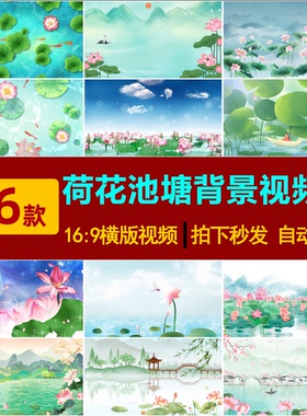 S0121夏日荷塘荷花莲花中国风古风山水墨古典LED舞台背景视频素材