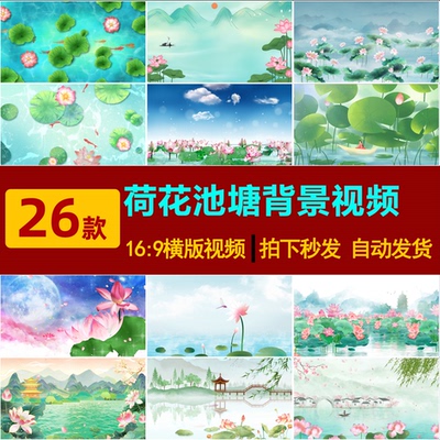 S0121夏日荷塘荷花莲花中国风古风山水墨古典LED舞台背景视频素材