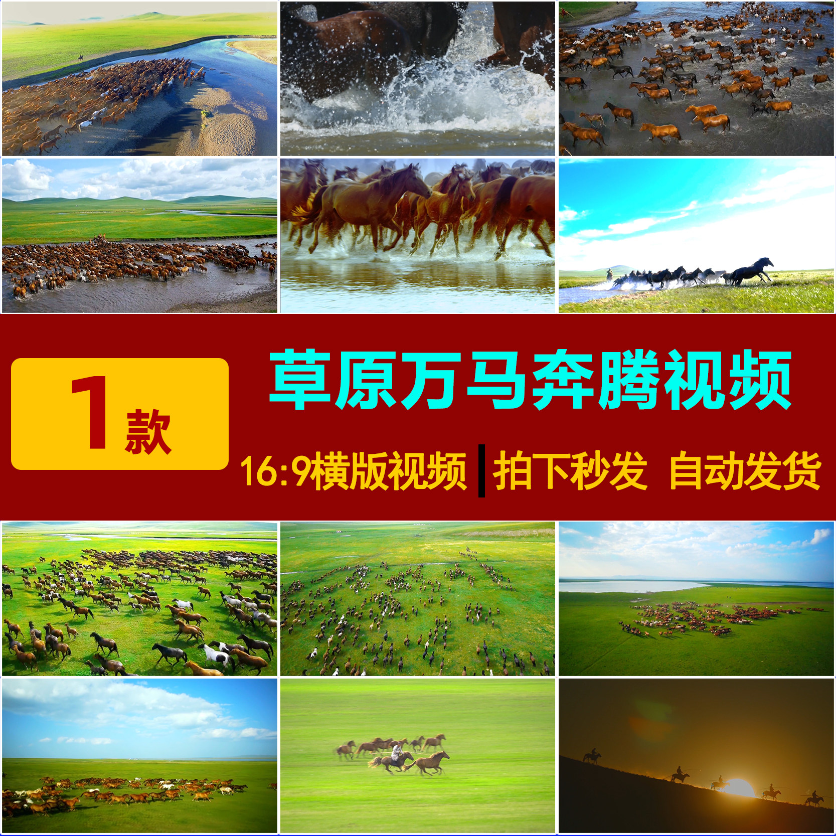 S0166内蒙古大草原马群万马奔腾表演出led大屏幕舞台背景视频素材图片