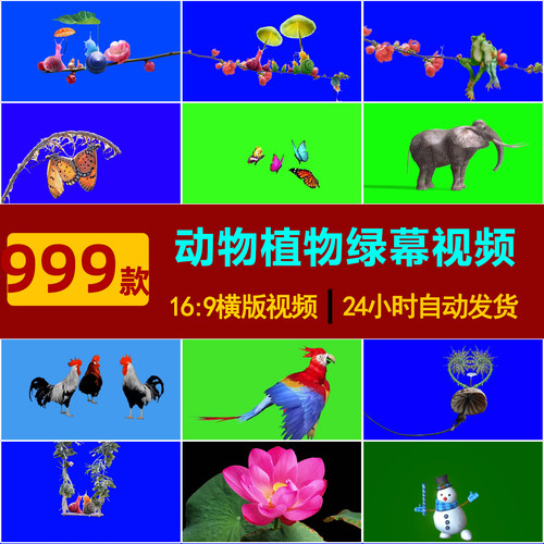 SP0010蜗牛治愈蝴蝶蘑菇青蛙植物动物抠图特效绿幕风景短视频素材