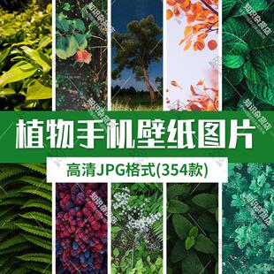 高清植物手机壁纸背景图片素材植物叶子花草树木植物装饰JPG图片
