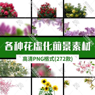 春夏季玫瑰樱桃花丛树枝条虚化前景摄影后期叠加背景png素材免扣