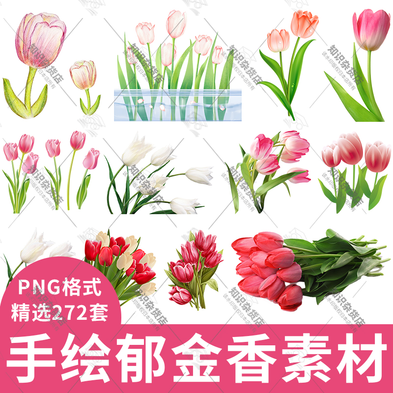 卡通手绘郁金香花朵花卉背景装饰PNG免抠图片郁金香插画设计素材图片