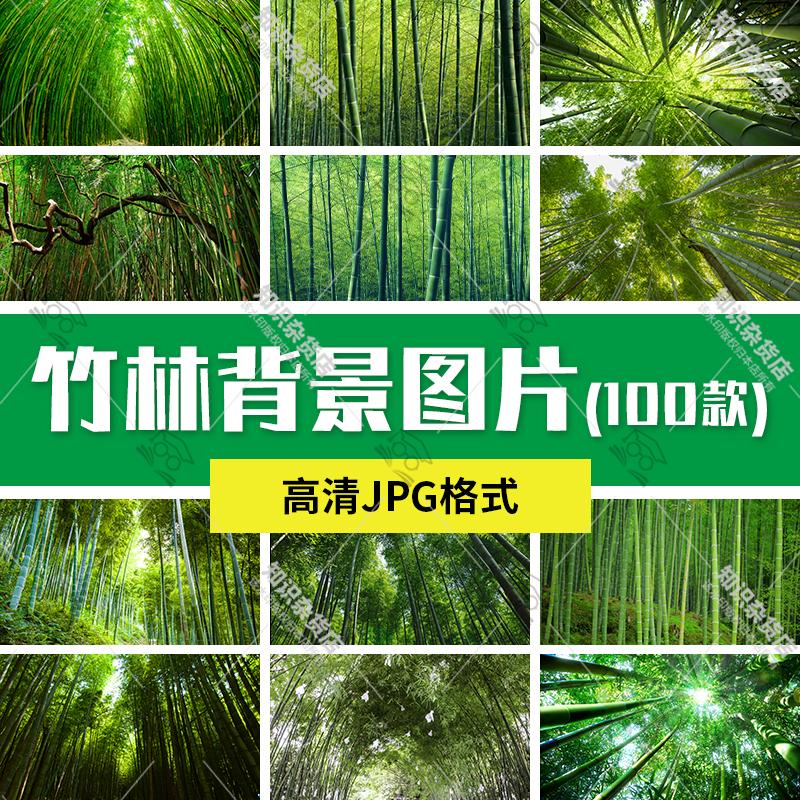高清自然风景摄影图片绿色竹子竹林青竹翠竹墨竹背景图JPG素材图