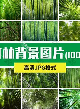 高清自然风景摄影图片绿色竹子竹林青竹翠竹墨竹背景图JPG素材图