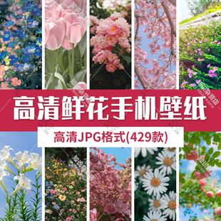 高清唯美鲜花植物花卉花朵手机壁纸电脑桌面背景高清JPG图片素材