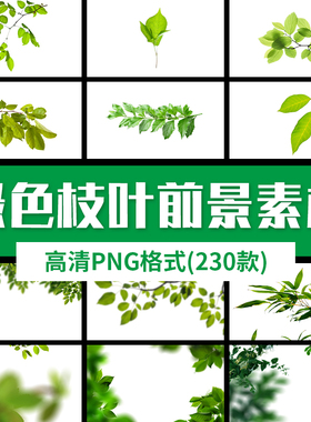 春夏季绿色树枝叶条虚化前景摄影后期合成叠加设计素材png免扣