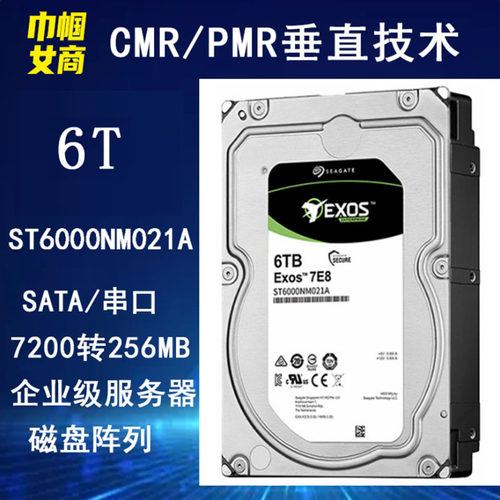 6T硬盘银河企业级希捷服务器NAS