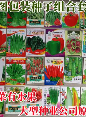 蔬菜种子组合套餐四季家庭种菜
