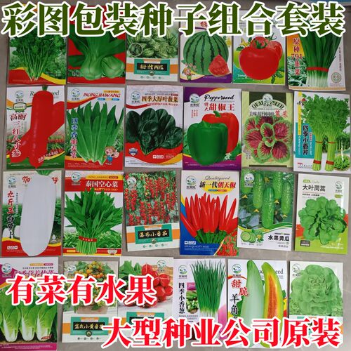 彩图原包装蔬菜种子组合套餐阳台盆栽非转基因四季易种菜籽包邮 - 封面