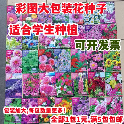 彩图大包装花种子花卉种籽学校学生种花礼品包装品种齐全彩包花子