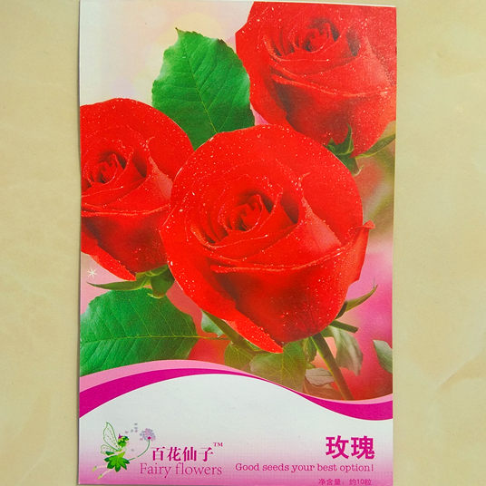 玫瑰花種子室外庭院陽臺盆栽較不好發芽花大朵艷麗好看10粒每包