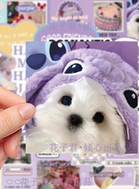 60张紫色派对贴纸ins高颜值小清新香芋紫精美贴画diy手账桌面文具