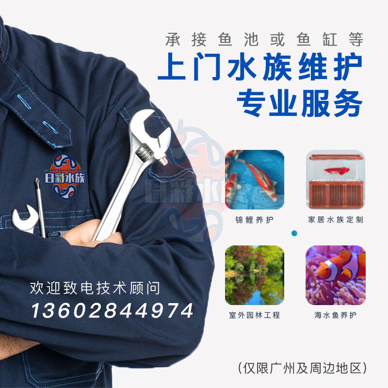 广州鱼缸清洗鱼池维护鱼缸定做定制换水过滤清理过滤佛山花都